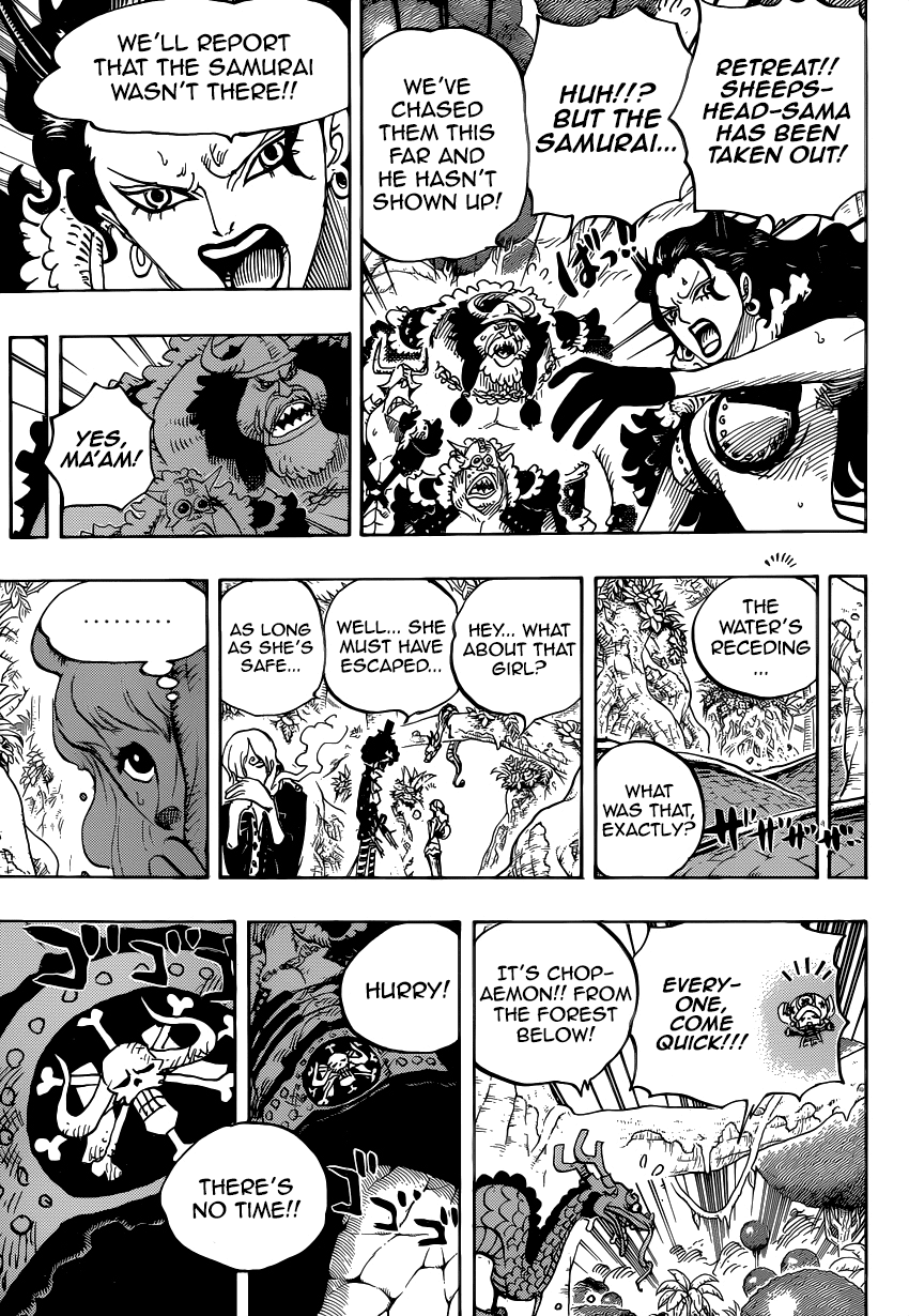 One Piece, Chapter 795 image 10